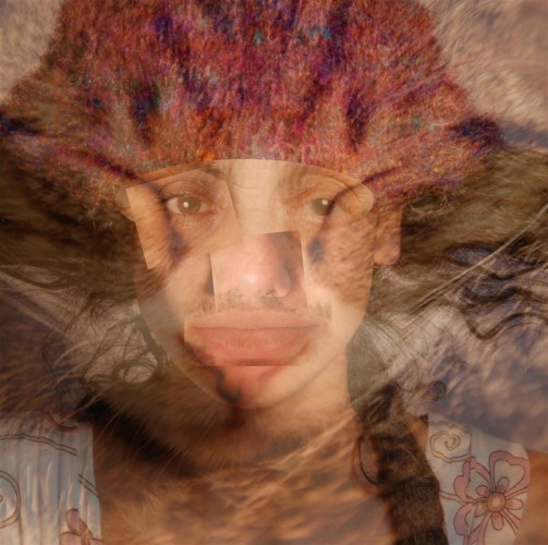 8 Vered Sisam Shahar